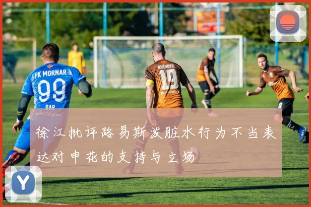 徐江批评路易斯泼脏水行为不当表达对申花的支持与立场