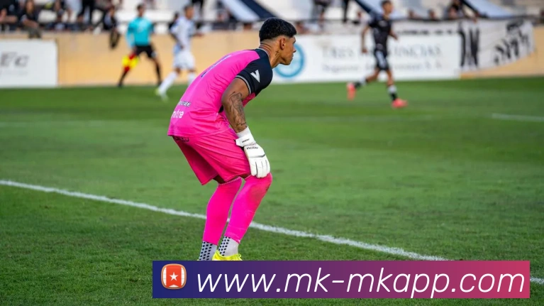 多媒体互动体验